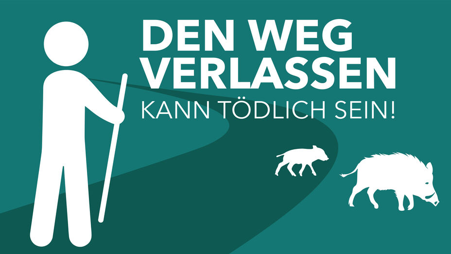 Schweinepest in Hessen - (c) HMLU
