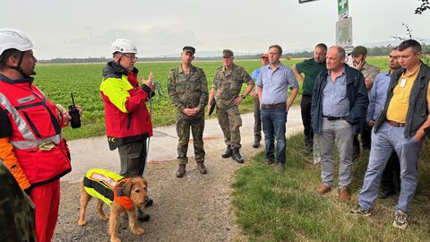 Hundeführer erklären, wie die Suche mit Kadaversuchhunden funktioniert.