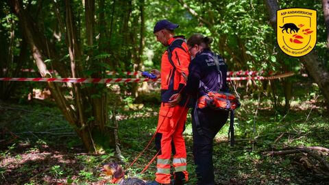 TCRH bei der Kadaversuche Das Bild zeigt zwei Menschen im Wald auf der Suche nach Kadavern.