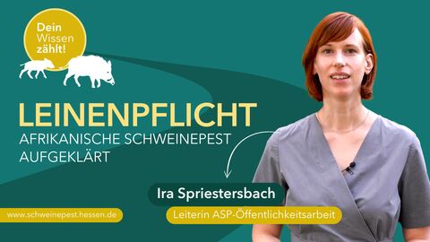 Interview mit Ira Spriestersbach, Leiterin der Öffentlichkeitsarbeit des Führungsstabs Afrikanische Schweinepest am Hessischen Ministerium für Landwirtschaft und Umwelt Das Bild zeigt Ira Spriestersbach, Leiterin der Öffentlichkeitsarbeit des Führungsstabs Afrikanische Schweinepest am Hessischen Ministerium für Landwirtschaft und Umwelt