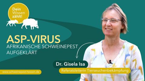 Interview mit Dr. Gisela Isa, Referatsleiterin Tierseuchenbekämpfung am Hessischen Ministerium für Landwirtschaft und Umwelt Das Bild zeigt Dr. Gisela Isa, Referatsleiterin Tierseuchenbekämpfung am Hessischen Ministerium für Landwirtschaft und Umwelt