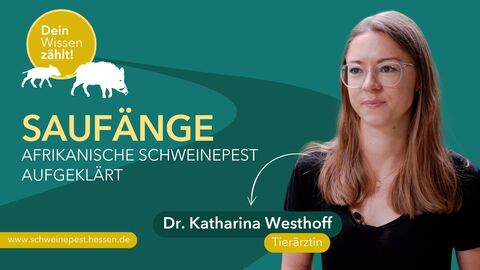 Interview mit Tierärztin Dr. Katharina Westhoff  Das Bild zeigt Tierärztin Dr. Katharina Westhoff