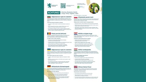 Handout und Plakat zur ASP für Erntehelfer und Landwirte in verschiedenen Sprachen