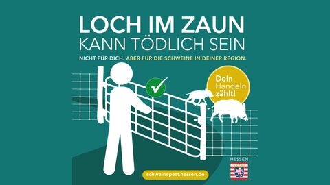 ASP-Kampagne Motiv: Loch im Zaun kann tödlich sein ASP-Kampagne Motiv: Loch im Zaun kann tödlich sein