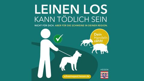 ASP-Kampagne Motiv: Loch im Zaun kann tödlich sein ASP-Kampagne Motiv: Loch im Zaun kann tödlich sein