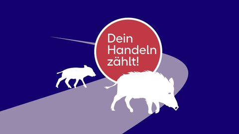 Bildetxt: Dein Handeln zählt! Bild zeigt Animation eines Wildschweins mit Bache