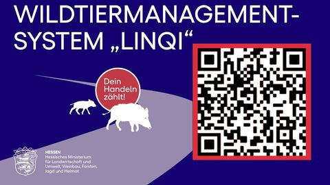 Wildtiermanagementsystem linqi